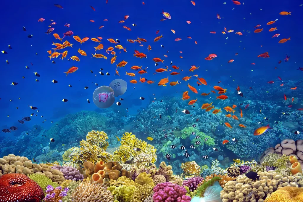 Colorful fishes and coral gardens, some of the spectacular sights awaiting those who go on scuba diving in the Philippines.