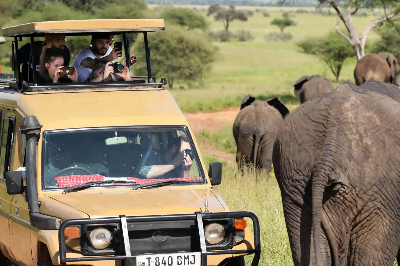 Travelers photograph elephants from an open safari vehicle in Tanzania